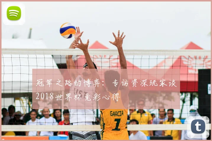 冠军之路的博弈：专访资深玩家谈2018世界杯竞彩心得