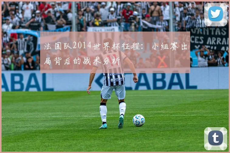 法国队2014世界杯征程：小组赛出局背后的战术分析