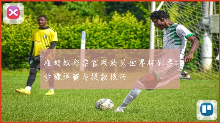 在蚂蚁彩票官网购买世界杯彩票：步骤详解与提款技巧