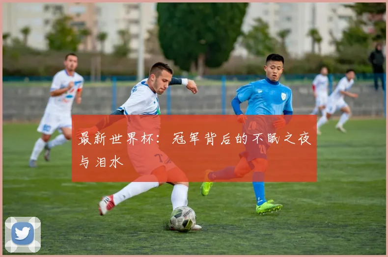 最新世界杯：冠军背后的不眠之夜与泪水