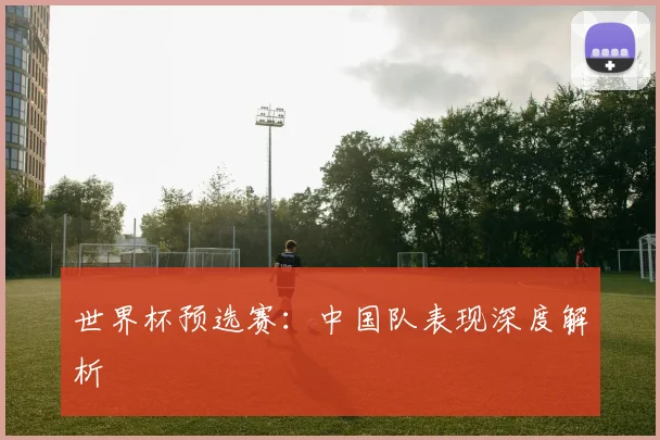 世界杯预选赛：中国队表现深度解析