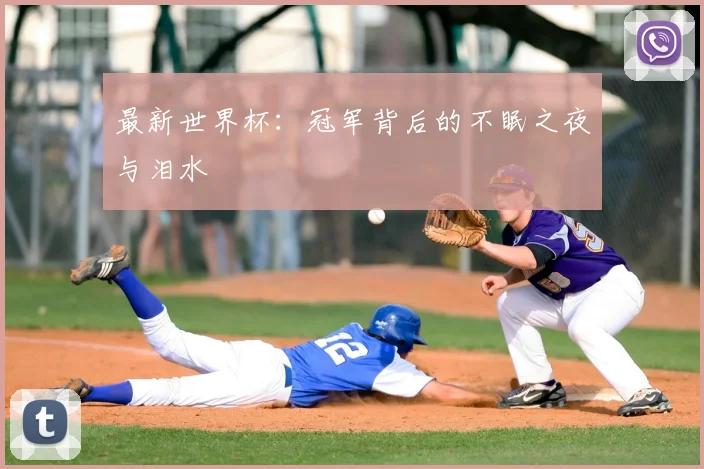 最新世界杯：冠军背后的不眠之夜与泪水