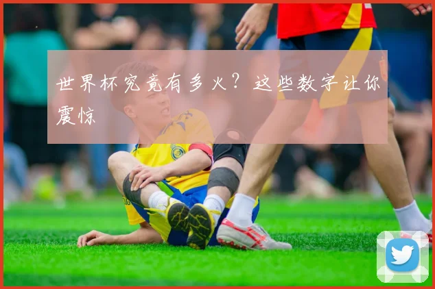 世界杯究竟有多火?这些数字让你震惊