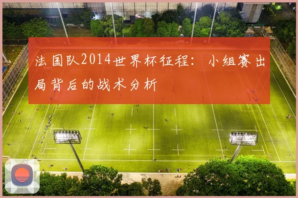 法国队2014世界杯征程：小组赛出局背后的战术分析