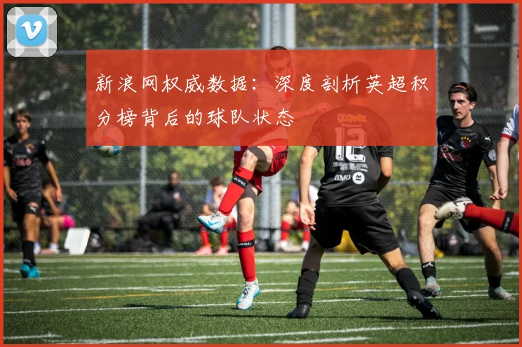 新浪网权威数据：深度剖析英超积分榜背后的球队状态