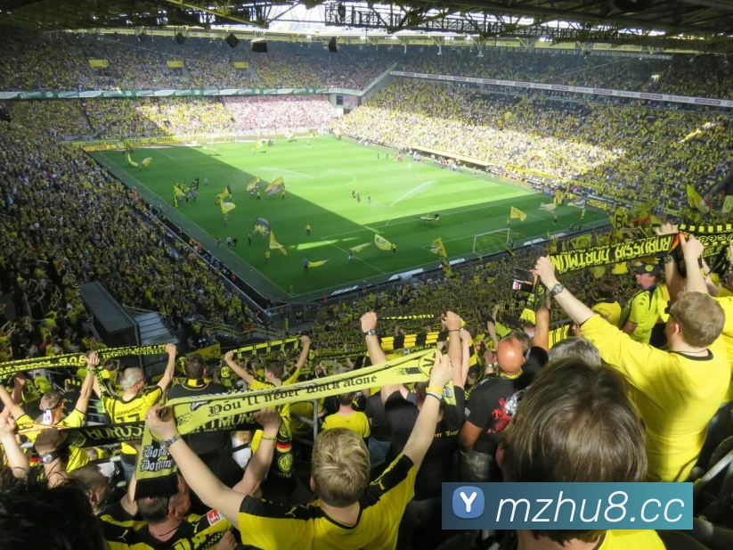 App Interface Preview